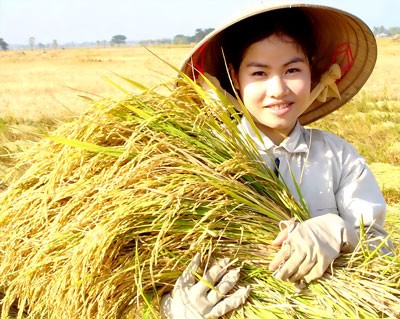 នាំអង្ករវៀតណាមក្លាយទៅជាពាណិជ្ជសញ្ញាជួរមុខលើពិភពលោក - ảnh 1