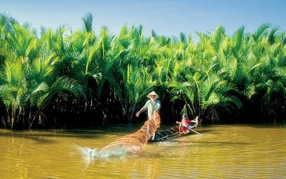 ផ្សព្វផ្សាយនិងឧទ្ទេសនាមអំពីប្រវត្តិសាស្ត្រតំបន់ដី Nam Bo វៀតណាម - ảnh 1