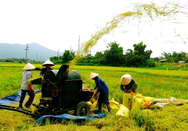 បង្កើនយន្តការនិងប្រភពកំលាំងពលំដើម្បីអភិវឌ្ឍន៍កសិកម្មជនបទ - ảnh 1