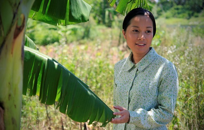 វៀតណាមចូលរួមមហោស្រព “ខ្សែភាពយន្តអន្តរជាតិបញ្ចាំងលើកដំបូង-ហ្វីលីពីន២០១៦” - ảnh 1