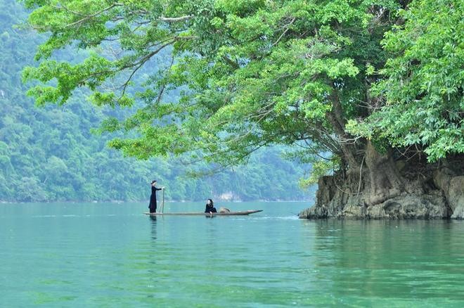 ទិដ្ឋភាពស្អាតឆើតឆាយគួរអោយស្រឡាញ់នៅបឹង Ba Be - ảnh 7