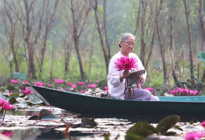 ជ្រោះ Yen នៅវត្ត Huong រីកស្គុះស្គាយសម្រស់ផ្កាព្រលឹត - ảnh 4