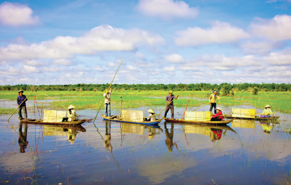 ទស្សនាតំបន់ Dong Thap Muoi នារដូវទឹកឡើង - ảnh 1