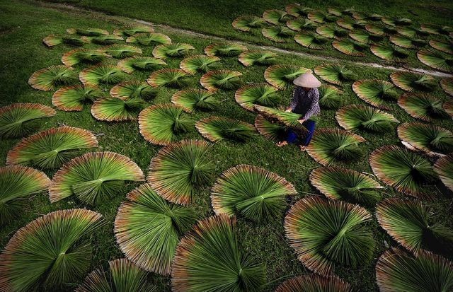 រូបភាពស្អាតអស្ចារ្យរបស់វៀតណាមក្នុងទស្សនាវដ្ដី National Geographic ឆ្នាំ ២០១៦ - ảnh 3