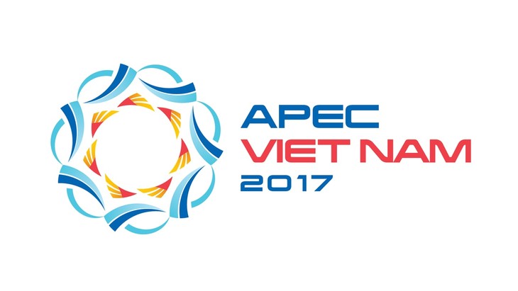 គណៈកម្មាធិការជាតិឆ្នាំ APEC ២០១៧ រៀបចំកិច្ចប្រជុំពេញអង្គលើកទី ៧  - ảnh 1