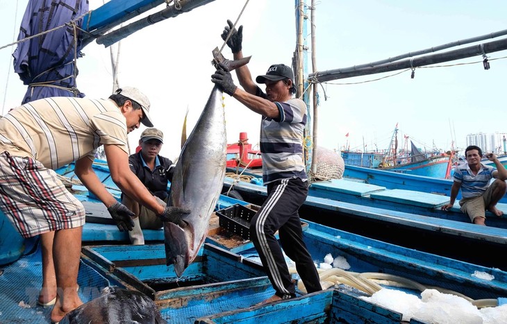 Pekan Laut dan Pulau Vietnam tahun 2020: Melindungi dan mengembangkan sumber hasil laut demi satu samudra biru - ảnh 1