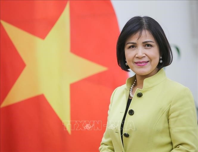 Vietnam berharap agar Jepang terus memainkan peranan sebagai pembimbing dalam memperkokoh sistem perdagangan multilateral  - ảnh 1