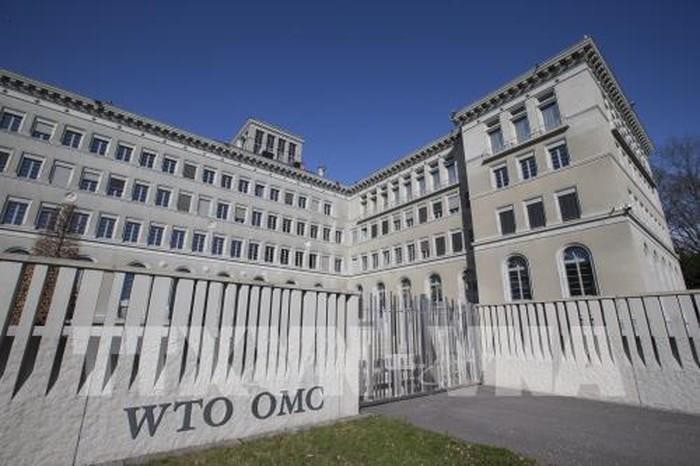 WTO mengeluarkan prediksi yang lebih optimis tentang perdagangan global - ảnh 1