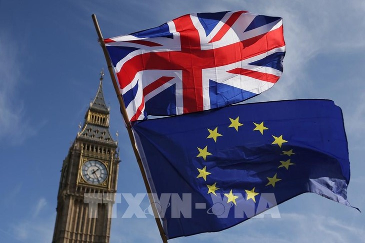 Inggris dan Uni Eropa memulai putaran ke-7 perundingan tentang hubungan bilateral pasca Brexit - ảnh 1