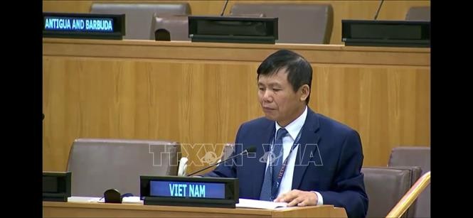 Vietnam menjunjung tinggi dialog dan rekonsiliasi dalam memecahkan bentrokan di Kongo - ảnh 1