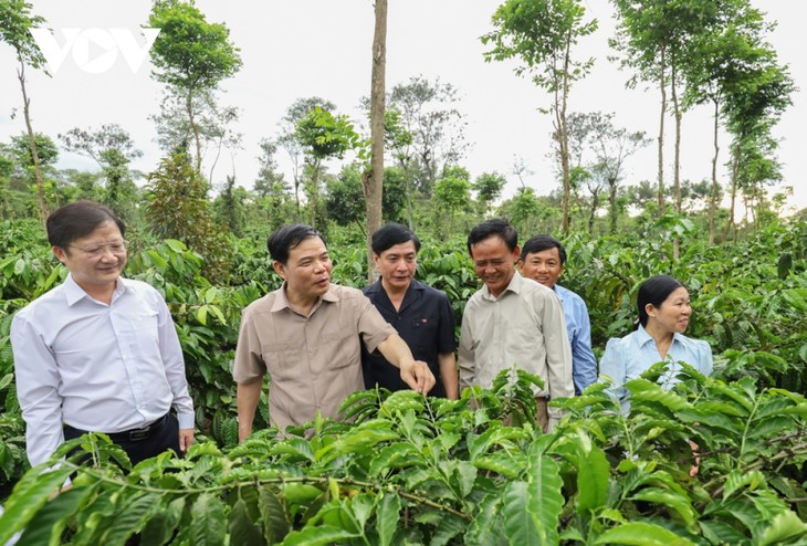 Brand Kopi Vietnam Memperbarui Diri untuk Berintegrasi dan Berkembang - ảnh 1