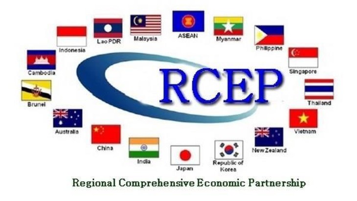 Mengembangkan Nilai Cabang-Cabang Unggulan dalam Perjanjian RCEP - ảnh 1