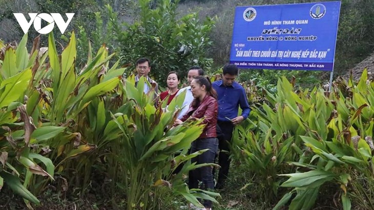 Perubahan Kuat dari Pola Koperasi Tipe Baru di Provinsi Bac Kan - ảnh 1