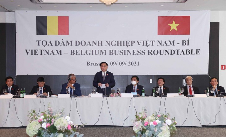 Berbagai Aktivitas Ketua MN Vuong Dinh Hue di Uni Eropa dan Belgia - ảnh 4