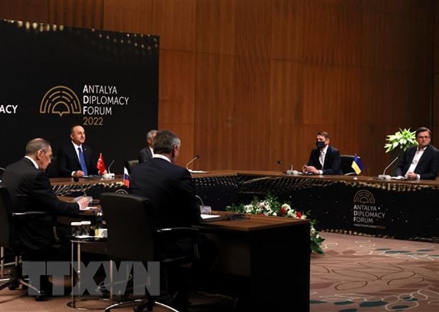 Upaya Diplomasi Membuka Pintu Perundingan Damai Rusia-Ukraina - ảnh 2