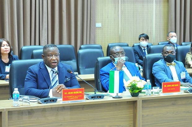 Vietnam-Sierra Leone Promosikan Kerja Sama Pertanian dan Transformasi Digital - ảnh 1