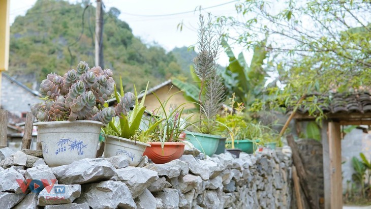 Keindahan Dusun Lo Lo Chai, Provinsi Ha Giang - ảnh 13