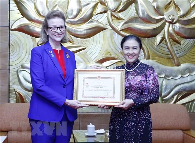 Berikan Lencana Peringatan “Demi Perdamaian, Persahabatan Antarbangsa” kepada Kepala Kantor Perwakilan Tetap UNDP di Vietnam - ảnh 1