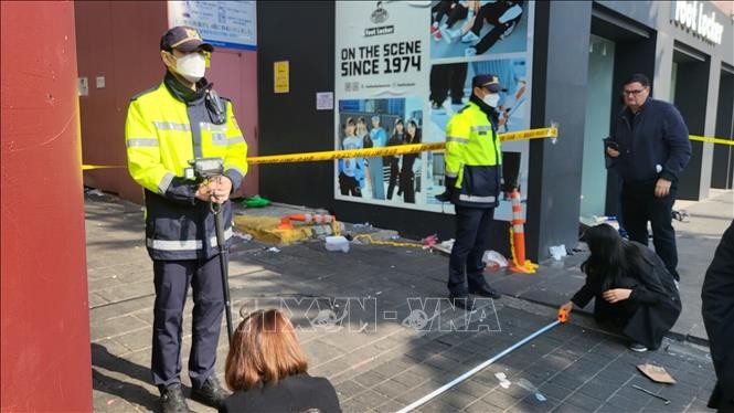 Menggelar Perlindungan Warga Negara Vietnam Terkait  Kasus Injak-Injak di Seoul, Republik Korea - ảnh 1