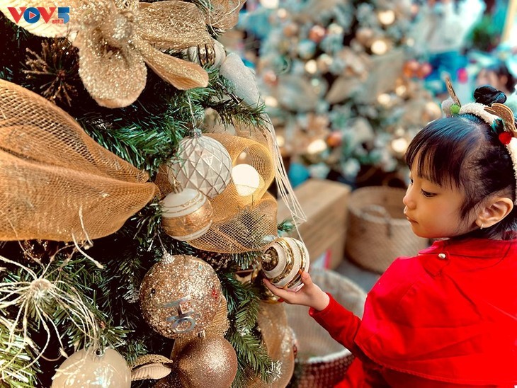 Jalan-Jalan Kota Hanoi yang Berkilau pada Musim Natal - ảnh 7