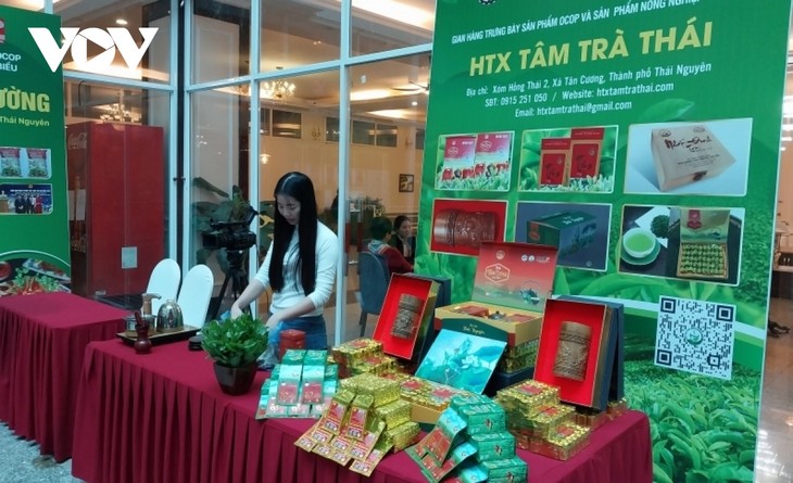 Cabang Produksi Teh Thai Nguyen Berupaya Mencapai Omset Sebesar Satu Miliar USD - ảnh 1