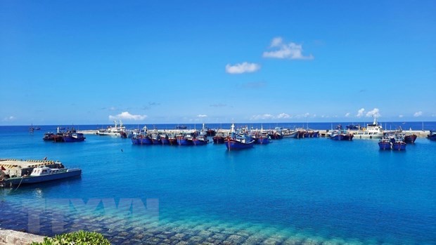 Asosiasi Perikanan Vietnam Protes Tiongkok yang Secara Sepihak Larang Penangkapan Ikan di Laut Timur - ảnh 1