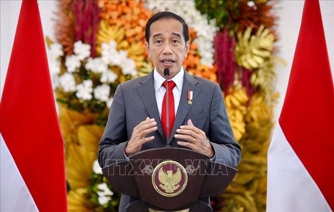 ASEAN Berkomitmen Berikan Bantuan Kemanusiaan kepada Warga Myanmar - ảnh 1