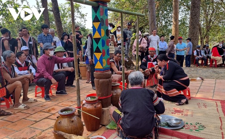 Keunikan Upacara Persembahan Memohon Kesehatan untuk Gajah di Provinsi Dak Lak - ảnh 2