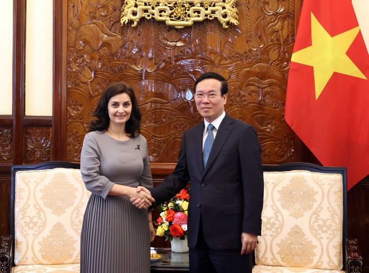 Presiden Vietnam, Vo Van Thuong Terima Dubes Bulgaria - ảnh 1