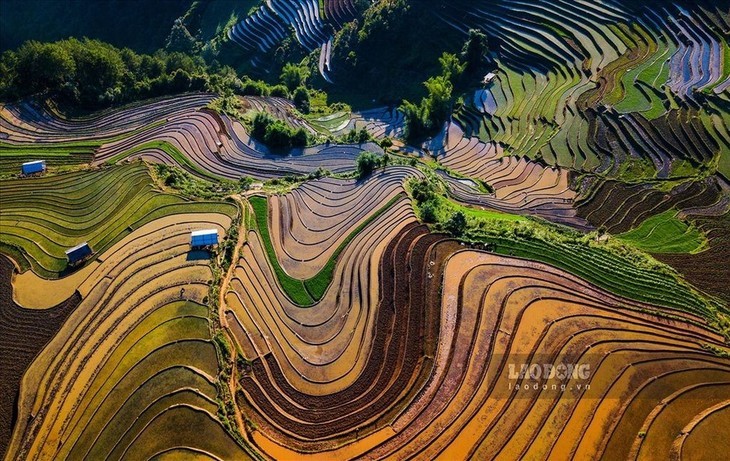 Keindahan Sawah Terasering pada Musim Air Tumpah  - ảnh 2