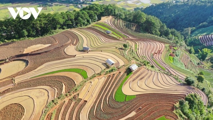 Keindahan Sawah Terasering pada Musim Air Tumpah  - ảnh 3