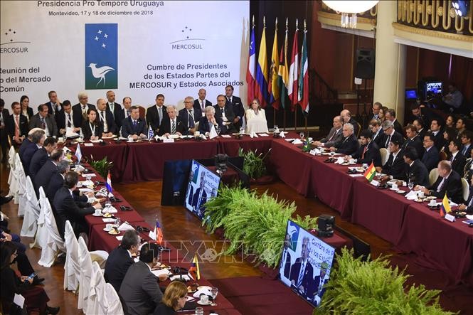 Pembukaan KTT Uni Eropa-CELAC - ảnh 1