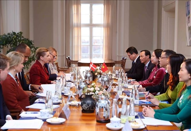 Wapres Vietnam, Vo Thi Anh Xuan Lakukan Pembicaraan dengan PM Denmark, Mette Frederiksen - ảnh 1