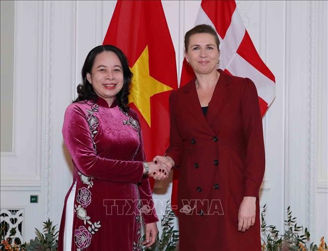 Kunjungan Resmi Wapres Vo Thi Anh Xuan di Denmark dan Norwegia Mencapai Sukses Baik - ảnh 1