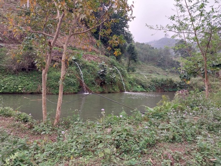 Budidaya Ikan “Bong” di Kabupaten Bao Yen, Provinsi Lao Cai - ảnh 1