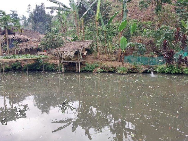 Budidaya Ikan “Bong” di Kabupaten Bao Yen, Provinsi Lao Cai - ảnh 2