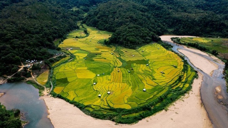 Musim Padi Menguning di Sawah-Sawah Terasering di Provinsi Kon Tum - ảnh 1