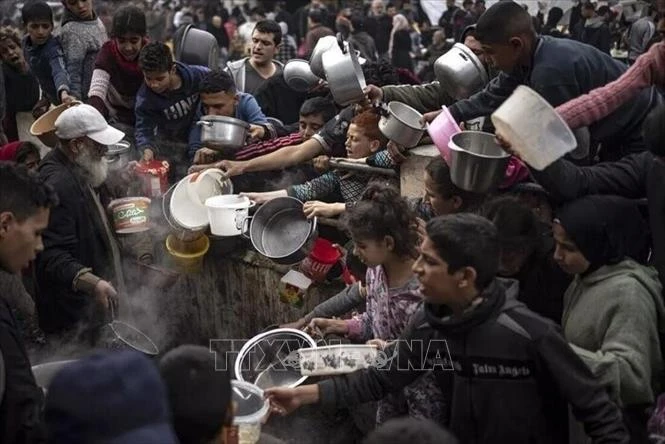 Uni Eropa dan Belgia Berkoordinasi Angkut Barang Bantuan Kemanusiaan ke Gaza - ảnh 1