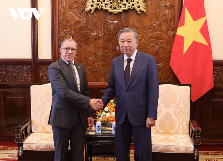 Presiden Vietnam, To Lam Menerima Dubes Kolombia dan Dubes Panama yang Berpamitan   - ảnh 1