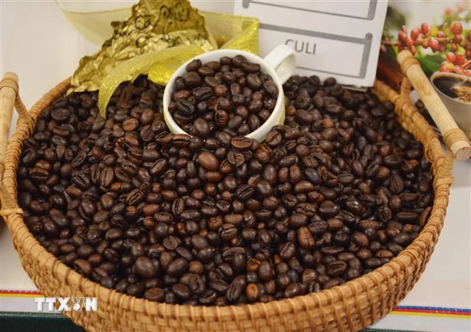 Uni Eropa Merupakan Pasar Konsumsi Kopi Terbesar dari Vietnam - ảnh 1