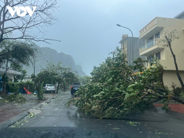 Topan Yagi Menghantam di Kota Hai Phong dan Provinsi Quang Ninh - ảnh 1