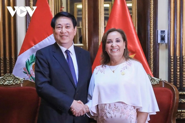 Presiden Republik Peru, Dina Boluarte Memimpin Acara Penyambutan dan Lakukan Pembicaraan dengan Presiden Vietnam, Luong Cuong - ảnh 1