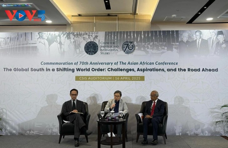 Peringatan HUT ke-70 Konferensi Asia-Afrika: Dasasila Bandung Kian Cocok di Tengah Tantangan Global - ảnh 1