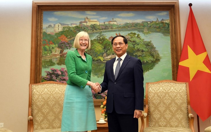 Deputi PM, Menlu Vietnam, Bui Thanh Son Menerima Dubes Australia, Gillian Bird - ảnh 1
