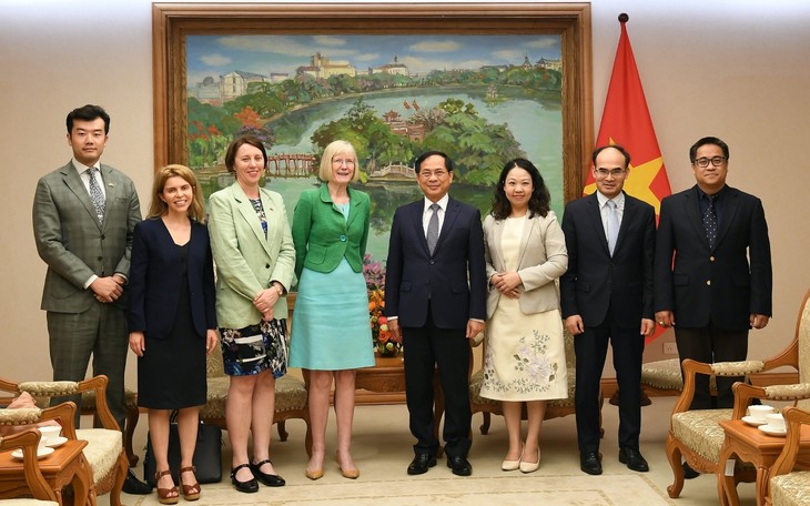 Deputi PM, Menlu Vietnam, Bui Thanh Son Menerima Dubes Australia, Gillian Bird - ảnh 2