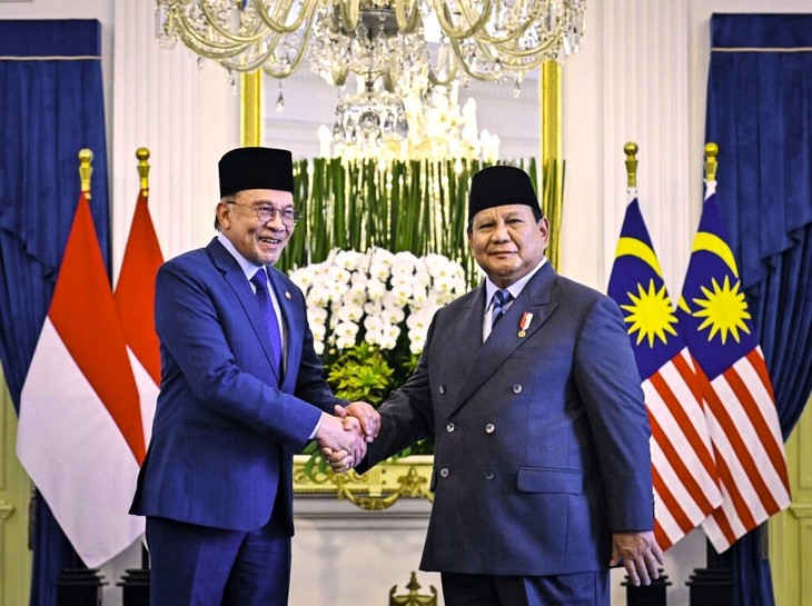 Indonesia dan Malaysia akan Berupaya Meredakan Ketegangan antara Thailand dan Kamboja - ảnh 1