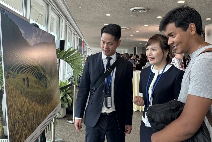 Sudut Pandang yang Menyeluruh tentang Vietnam yang Modern, Manusiawi, Terintegrasi, dan Dinamis - ảnh 3