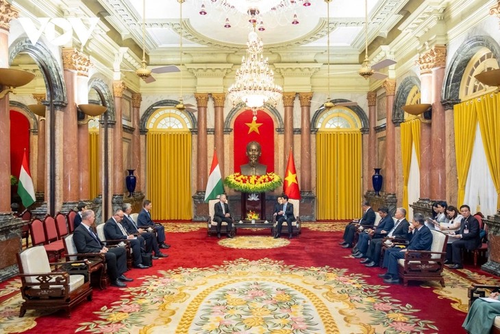 Presiden Vietnam, Luong Cuong: Vietnam Ingin Perkuat Kerja Sama dengan Hungaria - ảnh 2