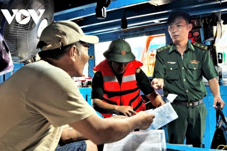 Provinsi Quang Ngai dengan Gigih Cegah Eksploitasi Hasil Laut Ilegal - ảnh 1