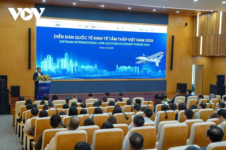 Vietnam Memiliki Keuntungan Penuh untuk Menjadi Pusat Ekonomi Ketinggian Rendah - ảnh 1